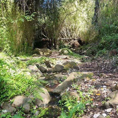 El Alamo | Heated Pool| Bbq | Fireplace | Hiking