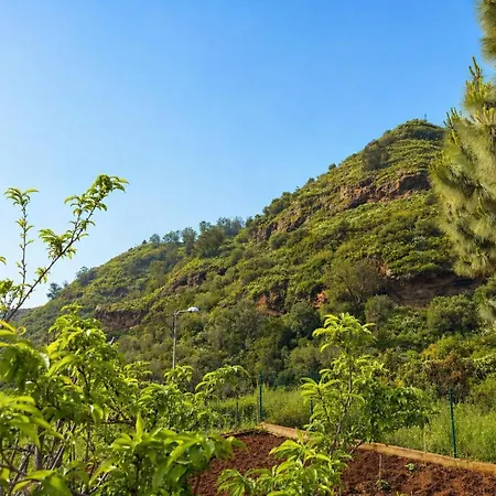 El Alamo | Heated Pool| Bbq | Fireplace | Hiking *